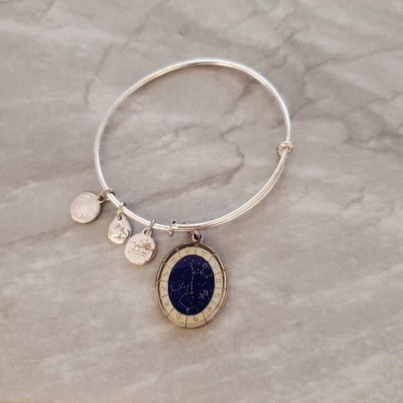 Alex and Ani Jewelry - ✨ Alex and Ani Sagittarius November December Expandable Charm Bracelet Bangle